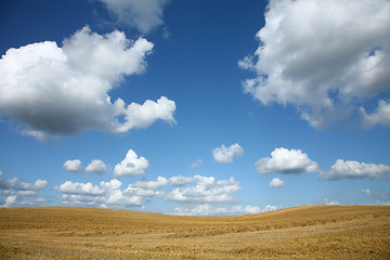Image showing crops field
