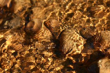 Image showing gold water