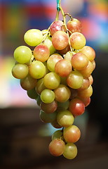 Image showing Grapes of the gods