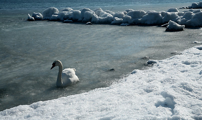 Image showing winter in denmark