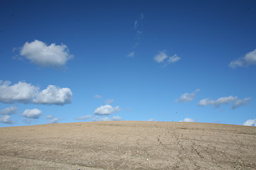 Image showing dry
