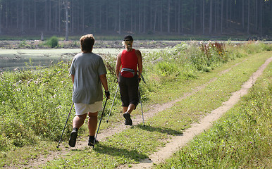 Image showing walking training 