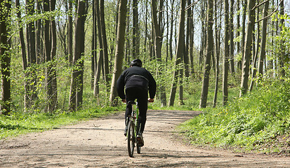 Image showing Green forest biker