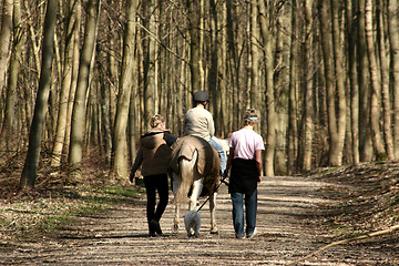 Image showing riding horses