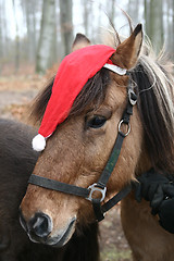 Image showing xmas horses 