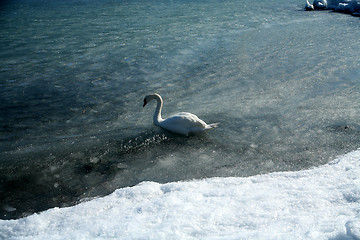 Image showing winter in denmark