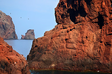 Image showing CORSICA CALVI Bay of Calvi