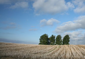 Image showing danish landscape01