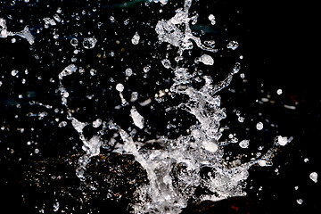 Image showing  water drops