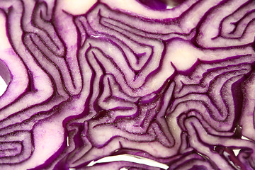 Image showing Red cabbage