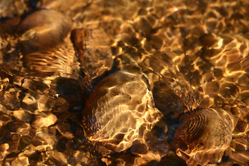 Image showing gold water