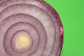 Image showing onions