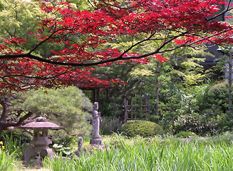 Image showing Early autumn Japanese garden