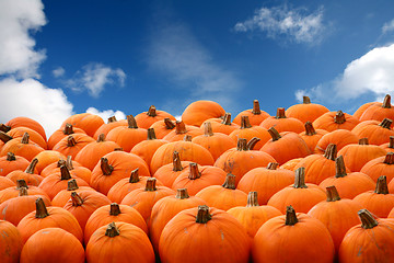 Image showing Scenes of halloween with pumpkins