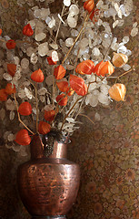 Image showing Dried  flowers in a vase