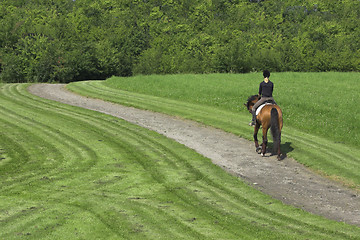 Image showing riding horses