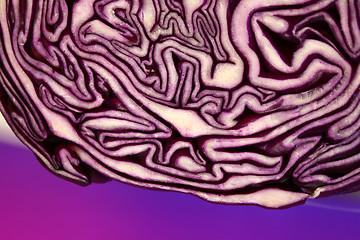 Image showing Red cabbage