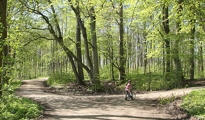 Image showing Green forest bikers