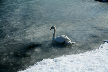 Image showing winter in denmark