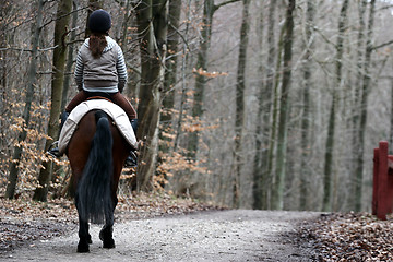 Image showing riding horses