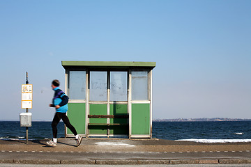 Image showing danish east  coast