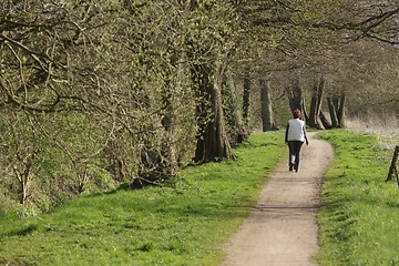 Image showing walking the dog