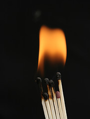 Image showing matches