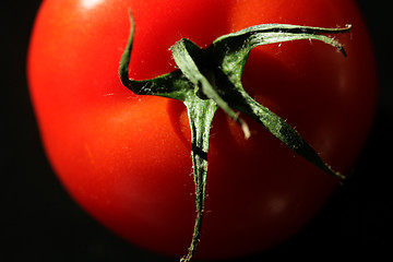 Image showing tomatoes