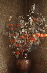 Image showing Dried  flowers in a vase