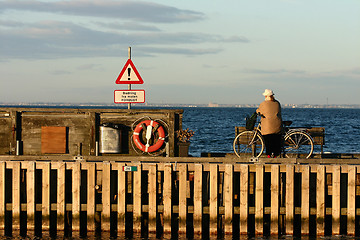 Image showing danish coast