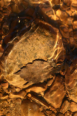 Image showing gold water