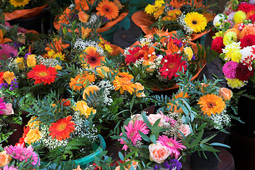 Image showing flower in pots 