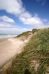 Image showing summer in denmark:  beach of loekken,