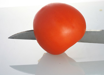 Image showing  tomato