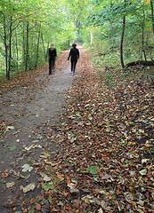 Image showing  hiking