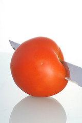 Image showing cutting tomato