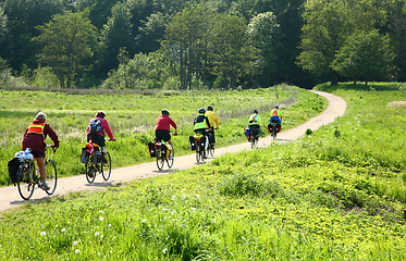 Image showing  bicycle riders