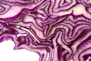 Image showing Red cabbage