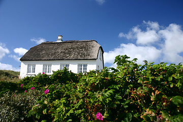 Image showing house in denmark