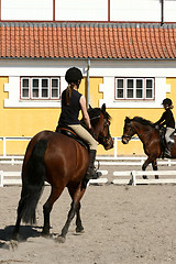 Image showing danish horse farm