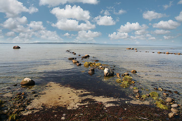 Image showing danish landscape