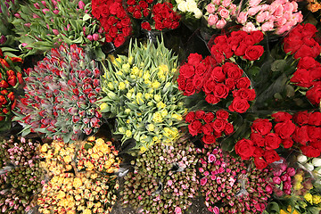 Image showing flowers