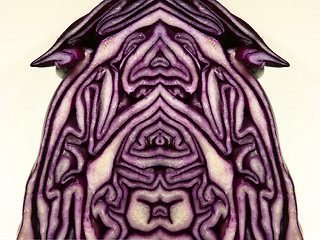 Image showing Red cabbage