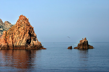 Image showing CORSICA CALVI Bay of Calvi