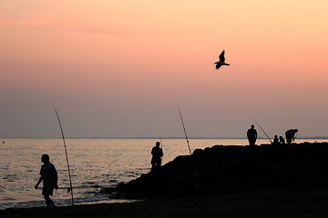 Image showing fishing