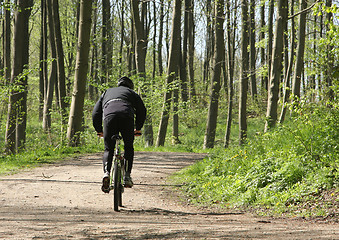 Image showing Green forest biker