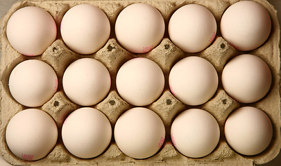 Image showing eggs