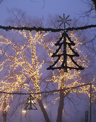 Image showing  christmas decoration