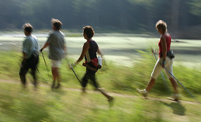 Image showing walking training 