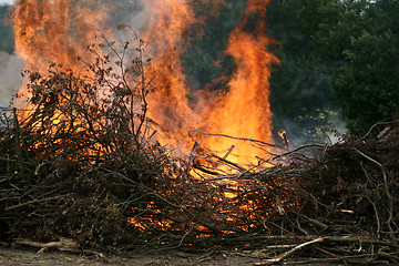 Image showing fire